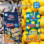  средний Сикоку ограничение черепаха рисовое поле. хурма. вид Seto внутри соль лимон тест Seto внутри ограничение .. лимон тест 6 пакет входить еда . сравнение комплект . данный земля ограничение хурма. вид черепаха рисовое поле Seto внутри Hiroshima . земля производство кондитерские изделия освежение ограничение ..