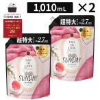 レノア オードリュクス マインドフルネスシリーズ サンデー つめかえ用超特大サイズ 1010mL 2袋 柔軟剤 洗濯 消臭