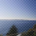 防鳥ネット ベランダ鳥よけネット 幅4m×長さ10m カラ ス 鳩対策防鳥網 果樹守り