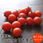  мир ... полный TIKKA ....5 упаковка (1 упаковка примерно 130g) Chiba префектура или Fukui префектура производство * обычная температура рейс включая доставку 