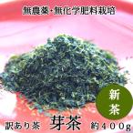 2023年産茶【 玉緑茶 製法 訳あり 芽