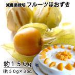 ネクスファームの「食用ほおずき（フルーツほおずき）」岩手花巻産　約１５０ｇ　（１パック約50g×３パック）減農薬栽培 ＊送料込 ＊代引き不可