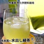 Yahoo! Yahoo!ショッピング(ヤフー ショッピング)2025年産 新茶 水出し緑茶 ３袋　約300g （１袋ティーバッグ５g×２０袋） 無農薬 無化学肥料栽培　＊ゆうパケット便送料込　＊代引き不可