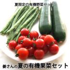 . san. [ лето. иметь машина фрукты и овощи комплект ] иметь машина культивирование кабачок *....* мини помидоры. комплект Nagano префектура производство * рефрижератор рейс * включая доставку 