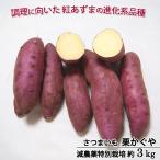 ショッピングさつまいも さつまいも 栗かぐや 減農薬 特別栽培 千葉県産 M〜L混在 約３kg 紅あずまの後継品種 常温便 送料込