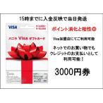 バニラVisaギフトカード（プリペイドカード）3000円分