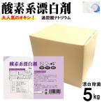 酸素系漂白剤5kg 日本製 送料無料 漂白剤 酸素系漂白 衣類 漂白 台所用漂白剤 洗濯用漂白剤 除菌 過炭酸ナトリウム 色物洗濯 染み抜き 子供 対応 漂白剤