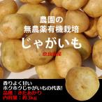 新じゃがいも　無農薬・無化学肥料栽培 　きたあかり 約３kg　奈良県産