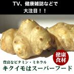 キクイモ 無農薬・無化学肥料栽培  約2kg 　送料無料
