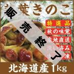落葉きのこ 北海道産 天然1kg(200g×5袋) 生冷凍 らくようきのこ ハナイグチ