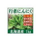 行者ニンニク 葉 北海道産1kg 醤油漬けや餃子に最高 生山菜 ギョウジャニンニク【2022年度商品】