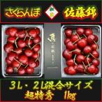 [ скорейший предварительный заказ товар ] Yamagata префектура восток корень производство подлинный. Sakura персик супер Special превосходящий вишня Sato .3L2L смешивание размер 1kg высококлассный несессер ввод редкий ограниченный товар подарок .. тоже .... 