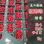 [ скорейший предварительный заказ товар ] Yamagata префектура восток корень производство подлинный. Sakura персик Special превосходящий вишня . превосходящий .2L*L смешивание размер 1kg высококлассный несессер ввод редкий ограниченный товар .. тоже .... 