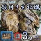 牡蠣 生食OK みちのく三陸産 殻付き生牡蠣 3kg 送料無料 放卵後の牡蠣 亜鉛 ビタミン タウリン等栄養豊富 ウイルス対策にも