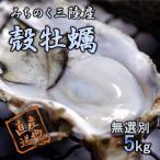  устрица ... . три суша производство ...5kg мир три богатый улов место Miyagi камень шт барбекю витамин цинк железо аминокислота изобилие ........ fly и т.п. различный . кулинария . нагревание для 