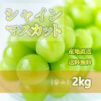 [ предшествующий предварительный заказ принимается ]* тщательно отобранный ~[ автомобиль in мускат ] примерно 2kg / коробка [ превосходящий товар ] Yamagata префектура производство [ бесплатная доставка ][ прямая поставка от производителя ]