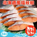 北海道産 塩秋鮭 10切れ 送料無料 鮭