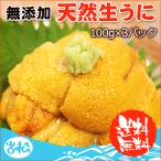 生ウニ 100g 3パック 無添加 刺身 天