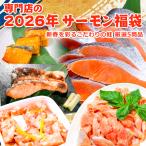 ショッピングお取り寄せグルメ 2026年サーモン福袋 送料無料  お取り寄せグルメ ★着日1月8日〜1月25日限定 日付指定限定商品 同梱不可
