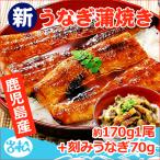 鹿児島産 新 国産 うなぎ蒲焼き 約170g 1尾＋刻み70g 送料無料