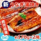 ショッピングうなぎ 国産 母の日 プレゼント 鹿児島産 新 国産 うなぎ蒲焼き 約170g×2尾 送料無料  海鮮 ★最短出荷