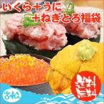 母の日 プレゼント いくら 醤油漬け アラスカ 200g うに 100g ねぎとろ 200g 送料無料 福袋 プレゼント グルメ ギフト
