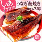 ショッピングうなぎ どデカ3尾 しあわせのうなぎ蒲焼き 超ド級特大 約1kg（約340g×3尾） 中国産 送料無料 土用丑の日