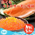 母の日 プレゼント いくら 醤油漬け アラスカ 200g トロサーモン 半身 約800g 送料無料 福袋 ギフト 海鮮セット 海鮮おせち