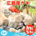 広島産カキ Lサイズ 1kg 送料無料