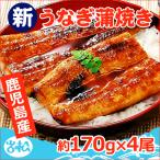 ショッピングうなぎ 国産 鹿児島産 新 国産 うなぎ蒲焼き 約170g×4尾 送料無料 お取り寄せグルメ 海鮮 プレゼント グルメ ギフト