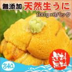 生ウニ 100g×3パック 無添加 天然物 