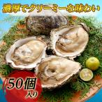 【生牡蠣】瀬戸内相生産 殻付 岩牡蠣 50個入り