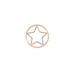 マスクアクセサリー「スターG」