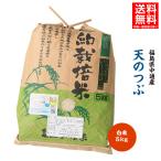 令和6年産 米 5kg 白米 福島県 中通産 天のつぶ 精白米5kg 小分け お米 ふくしまプライド。体感キャンペーン(お米)