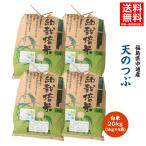 令和6年産 米 20kg 白米 福島県 中通産 天のつぶ 精白米(5kg×4袋) 小分け お米 ふくしまプライド。体感キャンペーン(お米)