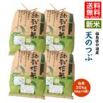 ショッピング米 5kg 送料無料 【新米予約】令和7年産 米 20kg 白米 福島県 中通産 天のつぶ 精白米20kg (5kg×4袋) 小分け お米