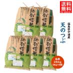 令和6年産 米 25kg 白米 福島県 中通産 天のつぶ 精白米(5kg×5袋) 小分け お米 ふくしまプライド。体感キャンペーン(お米)