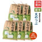 【新米予約】令和7年産 米 25kg 白米 福島県 中通産 天のつぶ 精白米25kg (5kg×5袋) 小分け お米