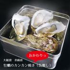 バーベキュー おかわりっ 赤崎産牡蠣のカンカン焼用 牡蠣12個入り 岩手県大船渡 BBQ