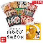山あそび 9種20枚 送料無料 残暑見舞い 敬老の日 彼岸 お菓子 和菓子 せんべい 煎餅 小松製菓 ギフト お供え お土産 岩手 人気 ポイント消化 爆買