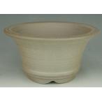 ڰͽϩۡߺȭۡڱס·¤褸४ꥸʥ뾮иȭۡ¿ΰȤΤ˾˱ȭ꡼ȯ ھи/6ݾȭ ڵ