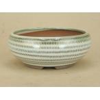 【盆栽鉢】 小石原焼/タイコ鉢丸（大）（飛カンナ紋）【径：13cm 高：5.2cm】【小品鉢】