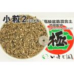 -極-いよじ園オリジナル最高級ブレ...