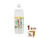 サンガリア サンサワ�