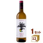 Yahoo! Yahoo!ショッピング(ヤフー ショッピング)ボデガス・アルカルデット GEA ソーヴィニヨン・ブラン ヴィーニャ・アマゾニア オーガニック＆ヴィーガン 白ワイン 750ml×12本