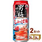 サッポロ 男梅サワー 通のしょっぱ梅 500ml 2ケース (48本)【賞味期限2024年5月】