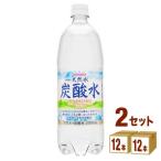 ショッピング炭酸 サンガリア 伊賀の天然水炭酸水ペット1L 1000ml 24本(12本×2ケース)