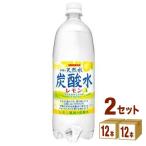 サンガリア 伊賀の天然水炭酸水レモン ペット1L 1000ml 24本(12本×2ケース)
