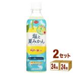 えひめ飲料 POM 塩と夏みかん 490ml 2ケース (48本)