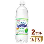 サンガリア 伊賀の天然水 強炭酸水 ライム  1000ml 2ケース(24本)